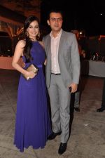 Dia Mirza at mohit suri wedding reception in Mumbai on 31st Jan 2013 (3).JPG